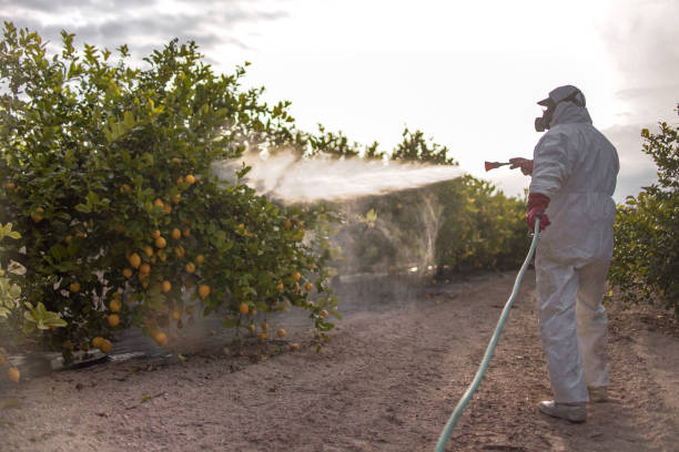 Best Rodent Control Near Me  in De Leon, TX