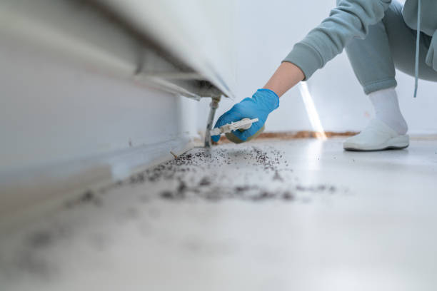 Pest Control Cost in De Leon, TX